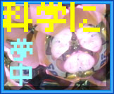����Ȗ��؋�